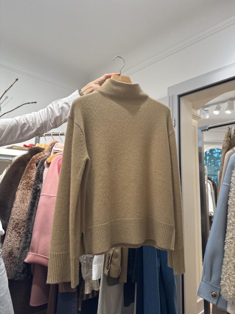 Pulli Camel