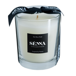 Duftkerze Bali Rice field mini