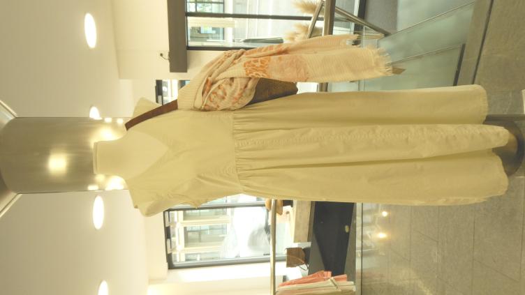 Kleid Baumwollpopeline khaki